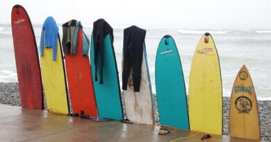 kak_da_izberem_surf