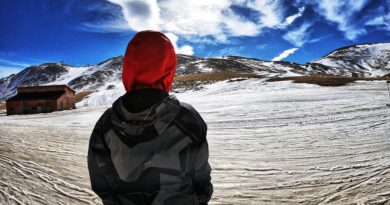 snobord_promeni