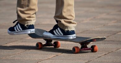 skateboard-obuvki
