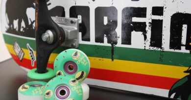 skateboard-poddruzhka